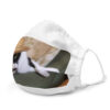all-over-print-premium-face-mask-white-left-6218b48fa97c8.jpg